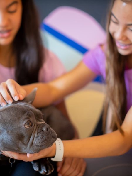 Carter Higgins 2019 Staff Candids 2 450x600 - Meet Jerry the Dog