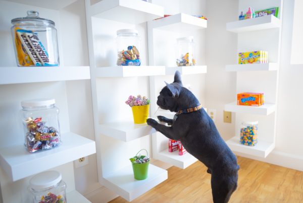 Carter Higgins 2019 Staff Candids 99 600x403 - Jerry Is the Real MVP (Most Valuable Pup)